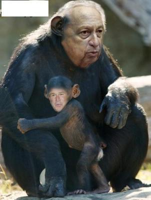 singe